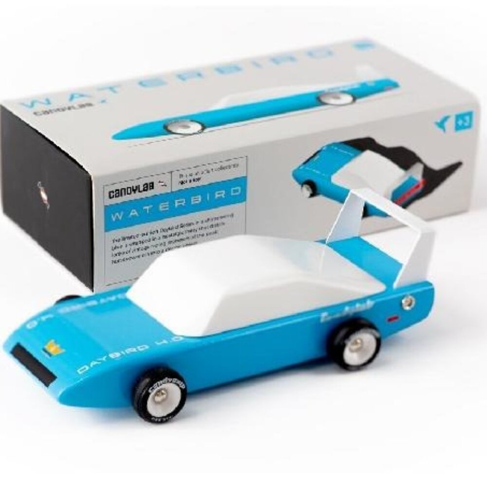 NWT Candylab Large Wood Car Waterbird